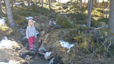 meja på promenad i klövsjö