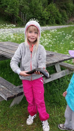 meja också i knivtjärn